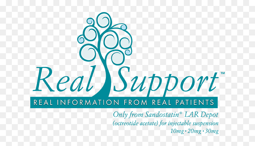 Realsupport™ - Dalet, HD Png Download - novartis logo png