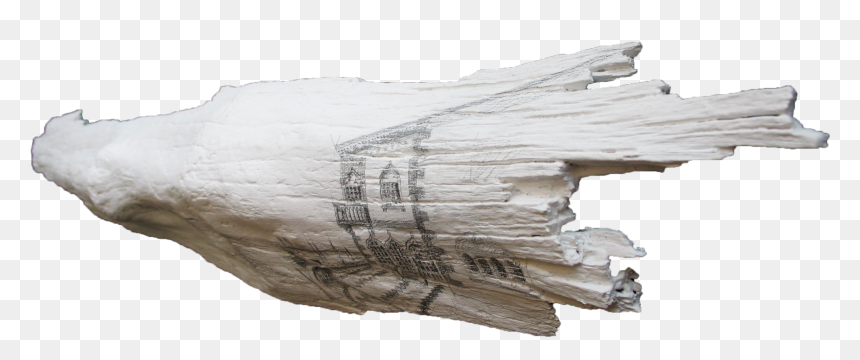 Driftwood, HD Png Download - real eyes png