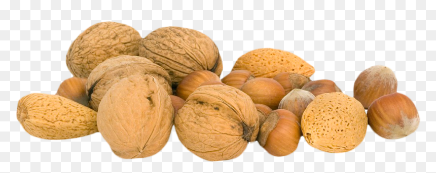 Now You Can Download Walnut Icon Clipart - Transparent Nut Png, Png Download - nut button png
