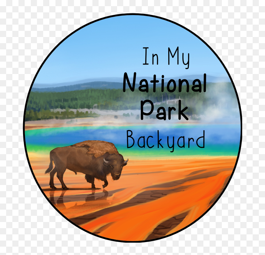 Livestock, HD Png Download - backyard png