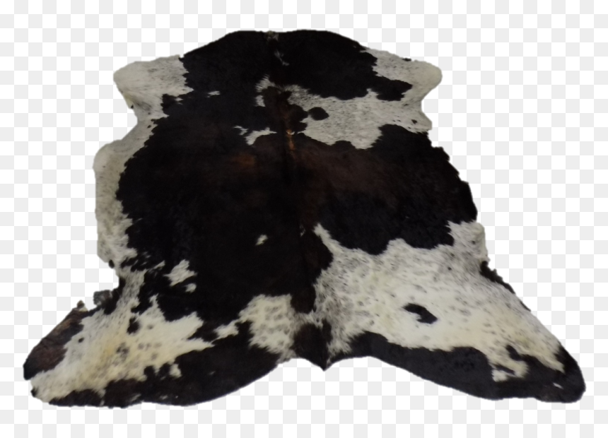 Moths And Butterflies, HD Png Download - tricolor png