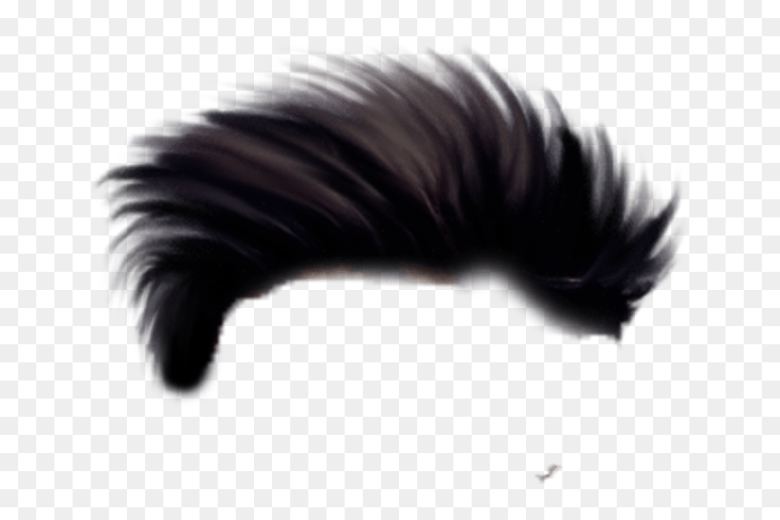 Transparent Holi Hai Png - Hair Style For Editing, Png Download - holi hai png