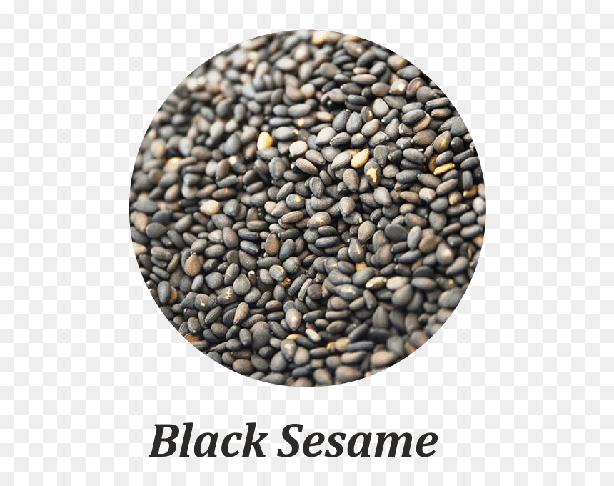 Bead, HD Png Download - sesame png