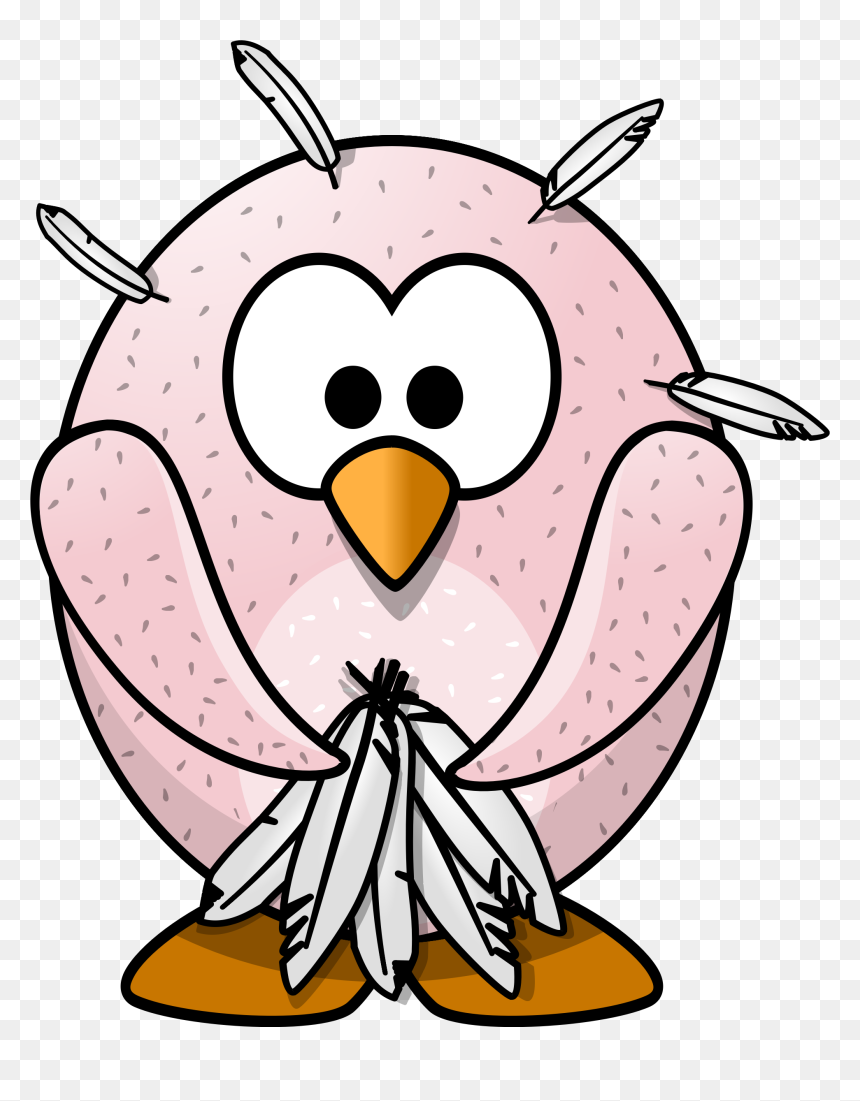 Cartoon Bird Without Feathers - Bird Without Feathers Cartoon, HD Png Download - bird feathers png
