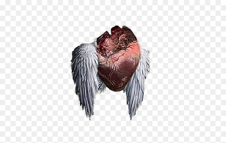 Real Heart Png For Editing, Transparent Png - bird feathers png