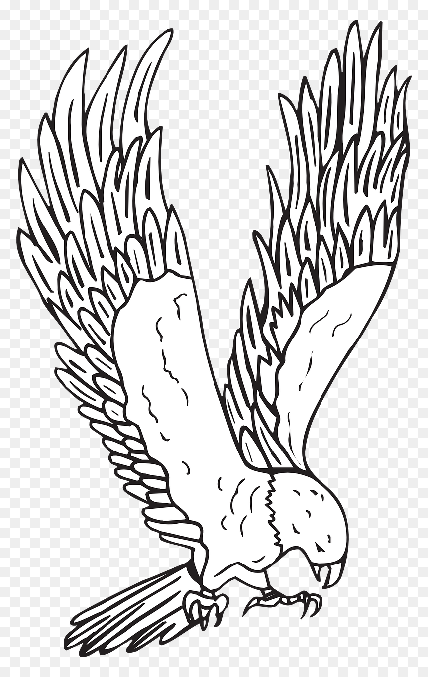 Hawk Clipart Black And White, HD Png Download - bird feathers png