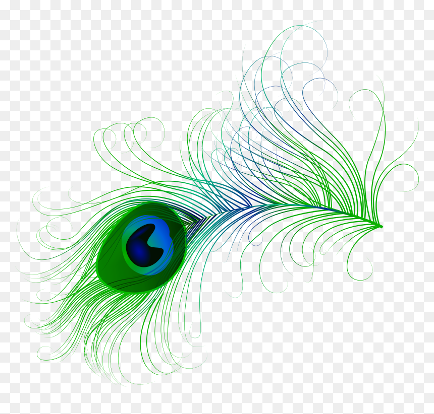 Peacock Wing Png, Transparent Png - peacock wing png