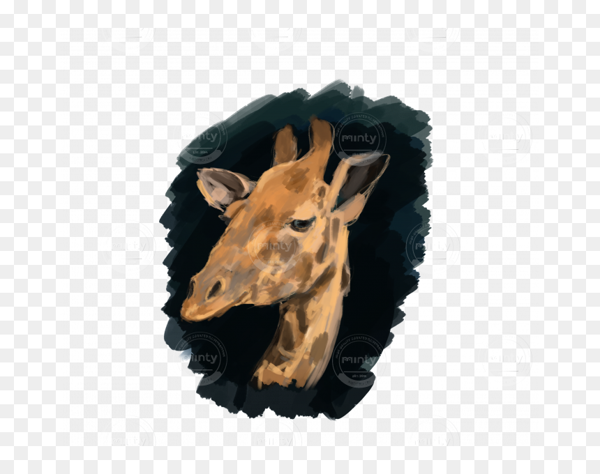 Stiker Giraffe - Giraffe, HD Png Download - giraffe png images
