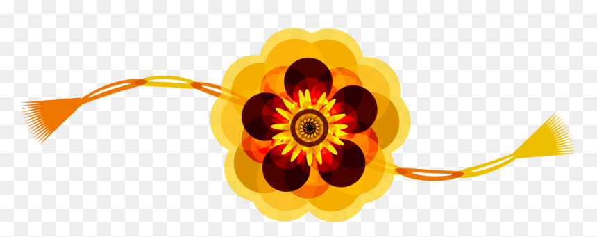 Black-eyed Susan, HD Png Download - rakshabandhan png