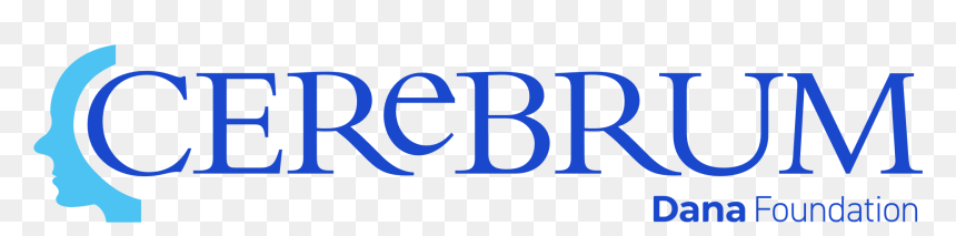 Cerebrum Article - Oval, HD Png Download - past due stamp png