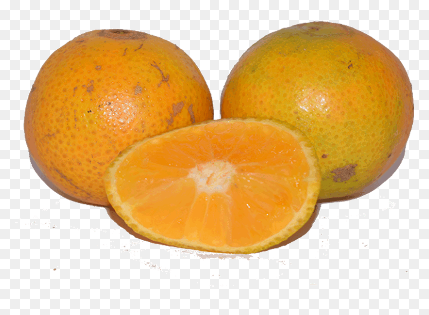 Transparent Oranges Png - Rangpur, Png Download - jason's deli logo png