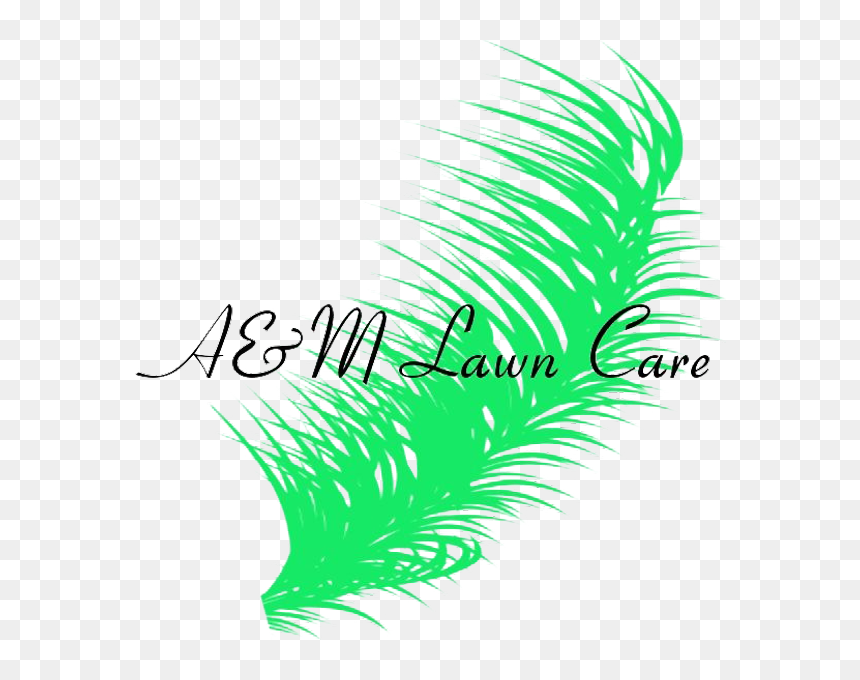 A&m Lawn Care - Illustration, HD Png Download - lawn care png