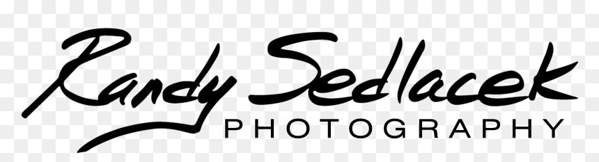 Lt5vy0fqrn3go2ft8nf5 - Calligraphy, HD Png Download - $50 png
