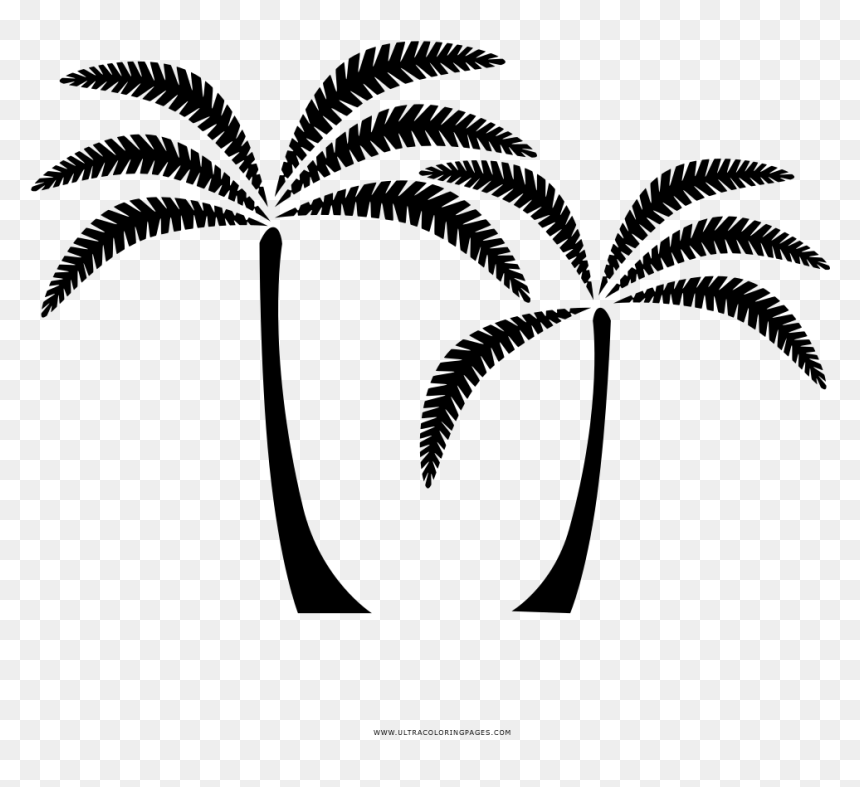 Palm Coloring Page - Illustration, HD Png Download - arbusto png