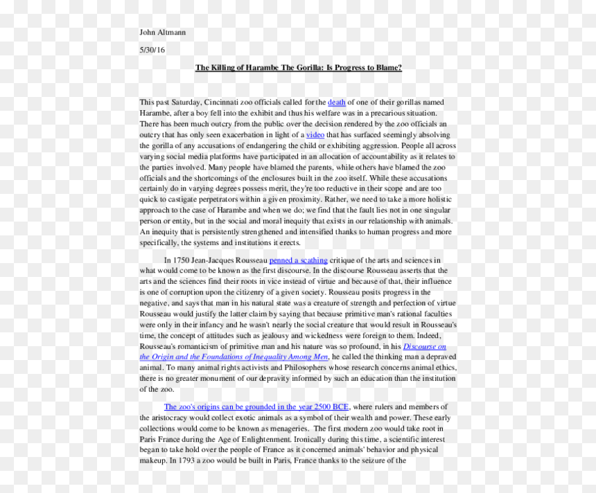 Storm On The Island And Exposure Comparison Essay, HD Png Download - harambe.png