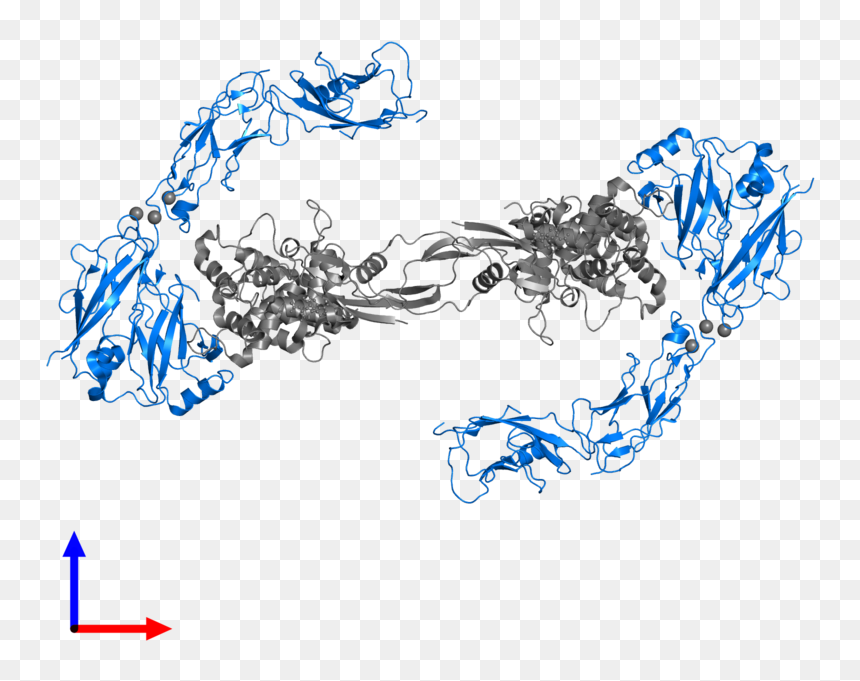 Graphic Design, HD Png Download - cell membrane png
