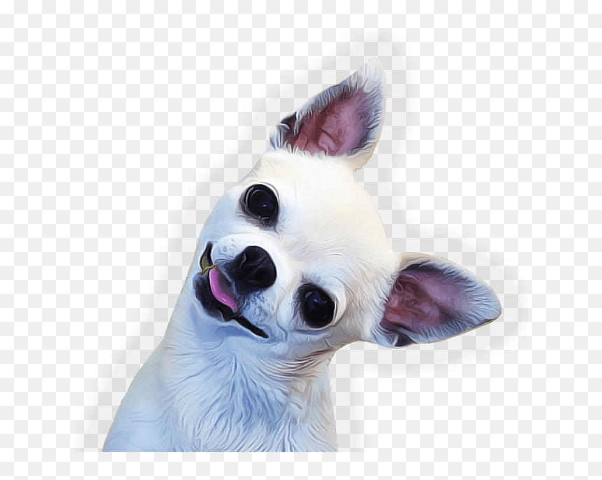 Chihuahua Face Side - Chihuahua Png, Transparent Png - side face png