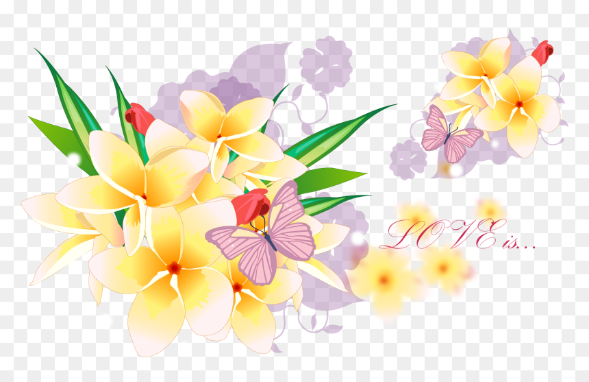 Acctractive Flower Bouquet Petal Wallpaper Desktop - Frangipani, HD Png Download - flower wallpaper png
