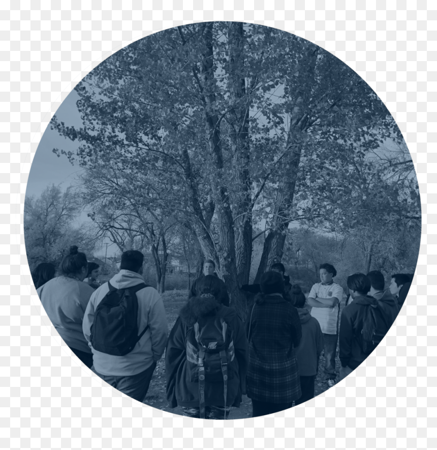 Observe - Group - Blue - Circle, HD Png Download - tree plan png black and white