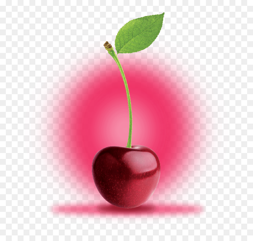 Black Cherry, HD Png Download - cherry fruit png