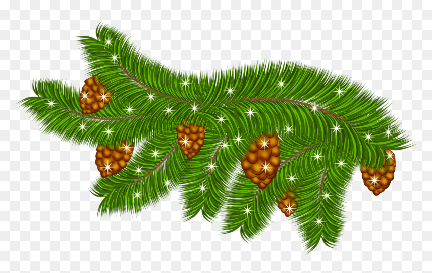 Transparent Pine Branch With Pine Cones Png Clipart - Portable Network Graphics, Png Download - trees .png