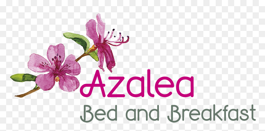 Azalea Bed And Breakfast - Melastome Family, HD Png Download - family png images
