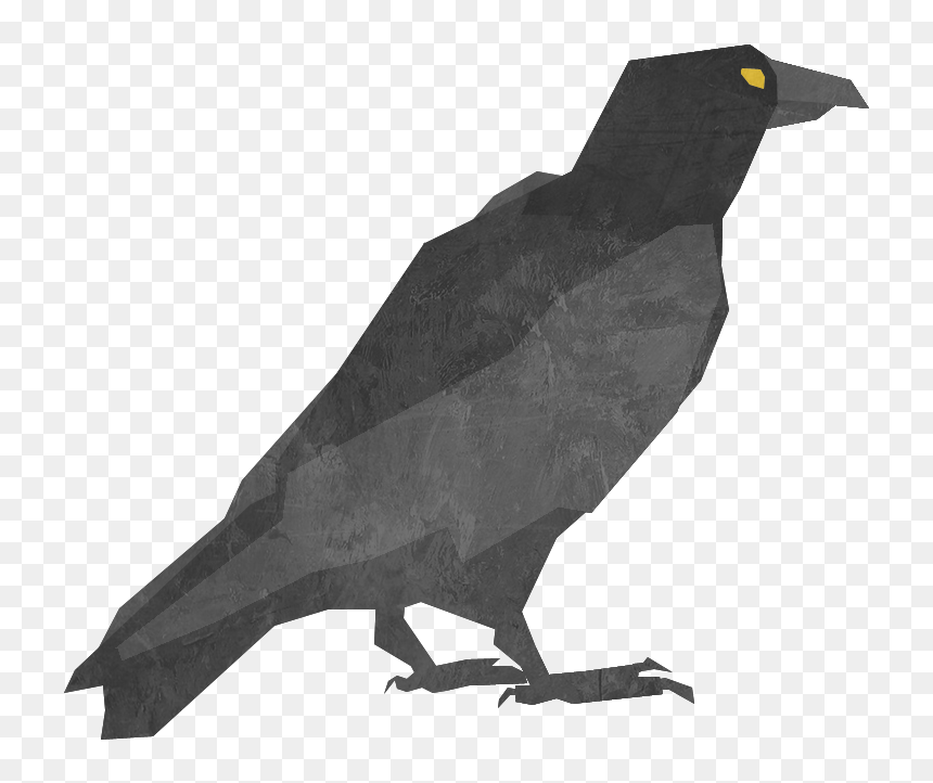Fish Crow , Png Download - Fish Crow, Transparent Png - crow png images