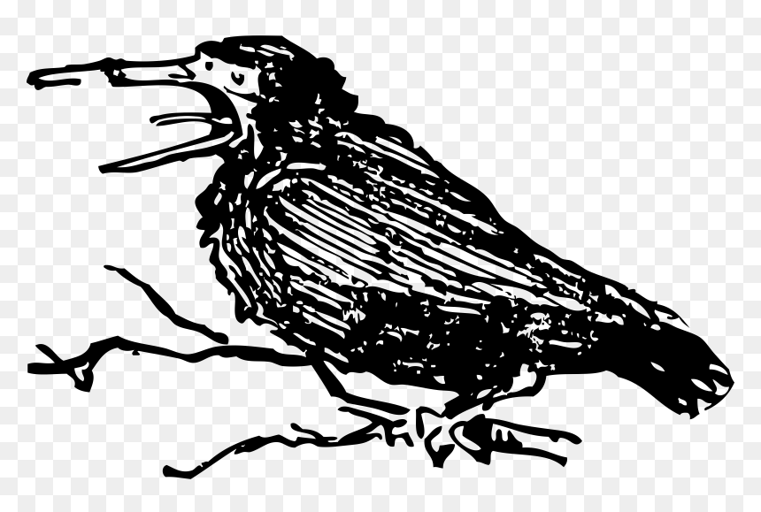 Old Crow Clip Arts - Old Crow Bird, HD Png Download - crow png images