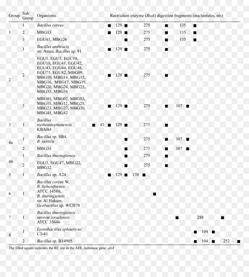 Diversity And Polymorphism In Ahl Lactonase Gene Aiia, HD Png Download - shankar bhagwan png