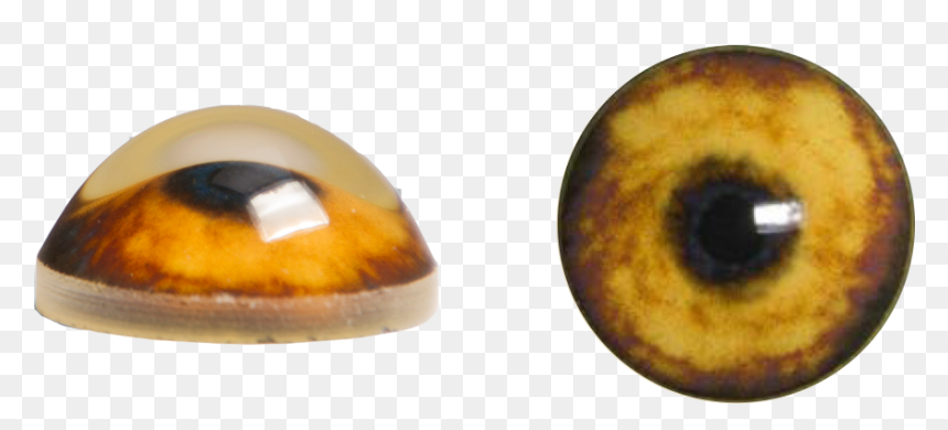 Realistic Eye Png -wolf Eyes Png - Wolf Eye Png, Transparent Png - eyes png images