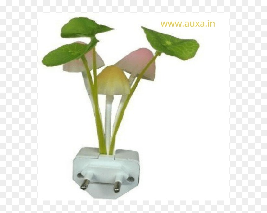 Nightlight, HD Png Download - mashroom png