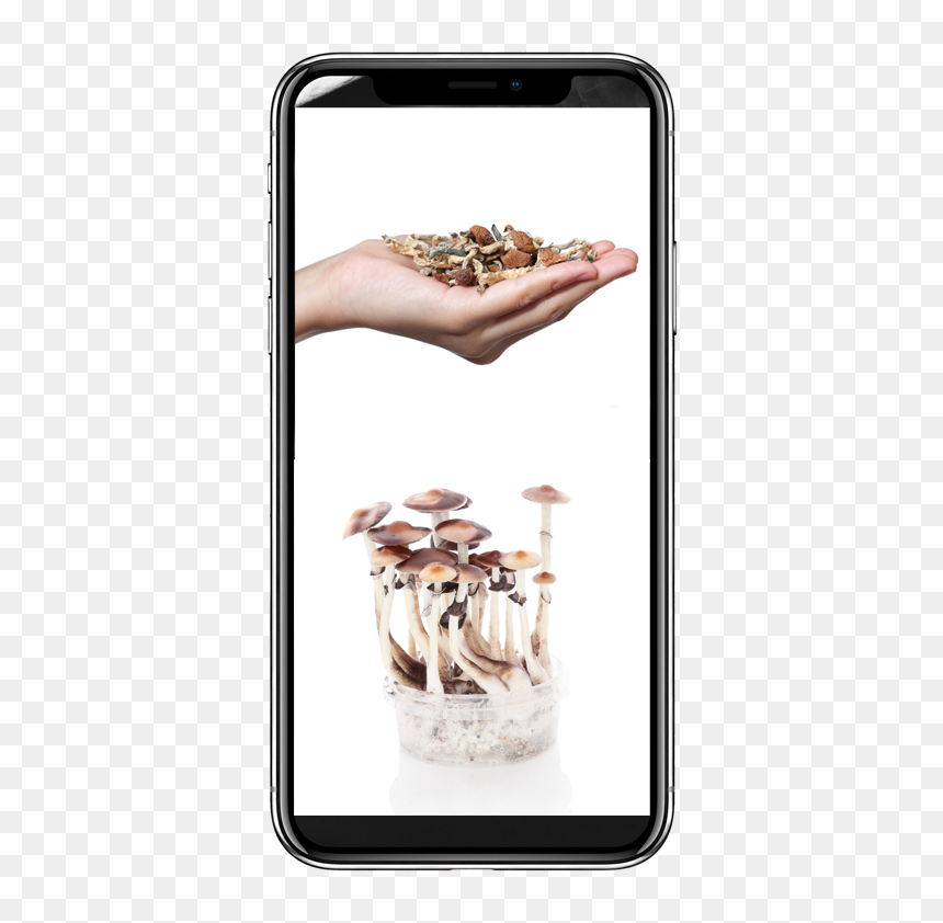 Smartphone, HD Png Download - mashroom png