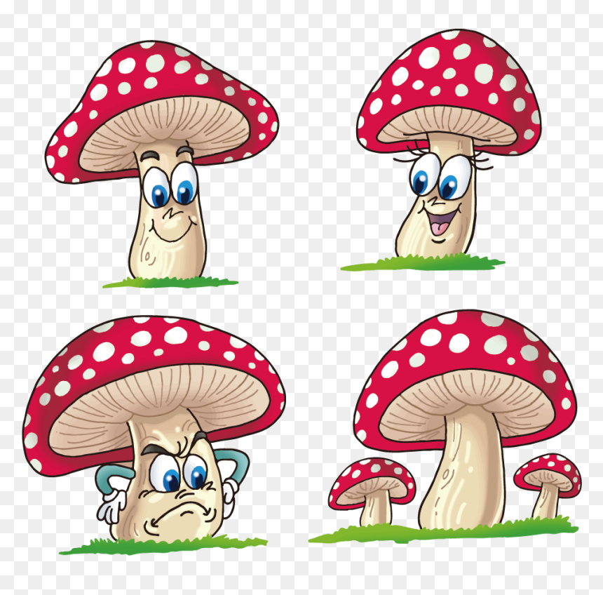 Fungus Cartoon Mushrooms Transprent - Cartoon Mushroom Drawing, HD Png Download - mashroom png