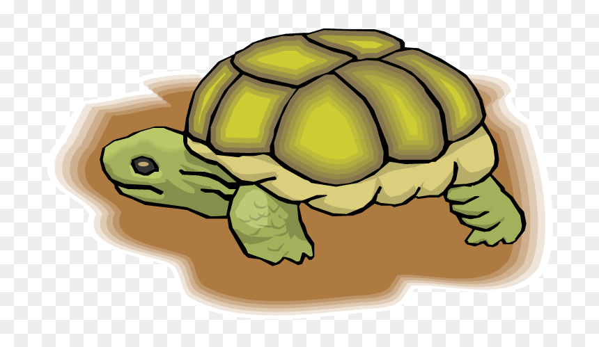 Collection Of 14 Free Turtle Clipart Land Turtle Bill - Reptiles, HD Png Download - tortoise clipart png