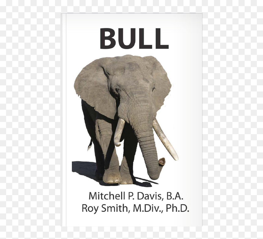 African Elephant, HD Png Download - indian bull png