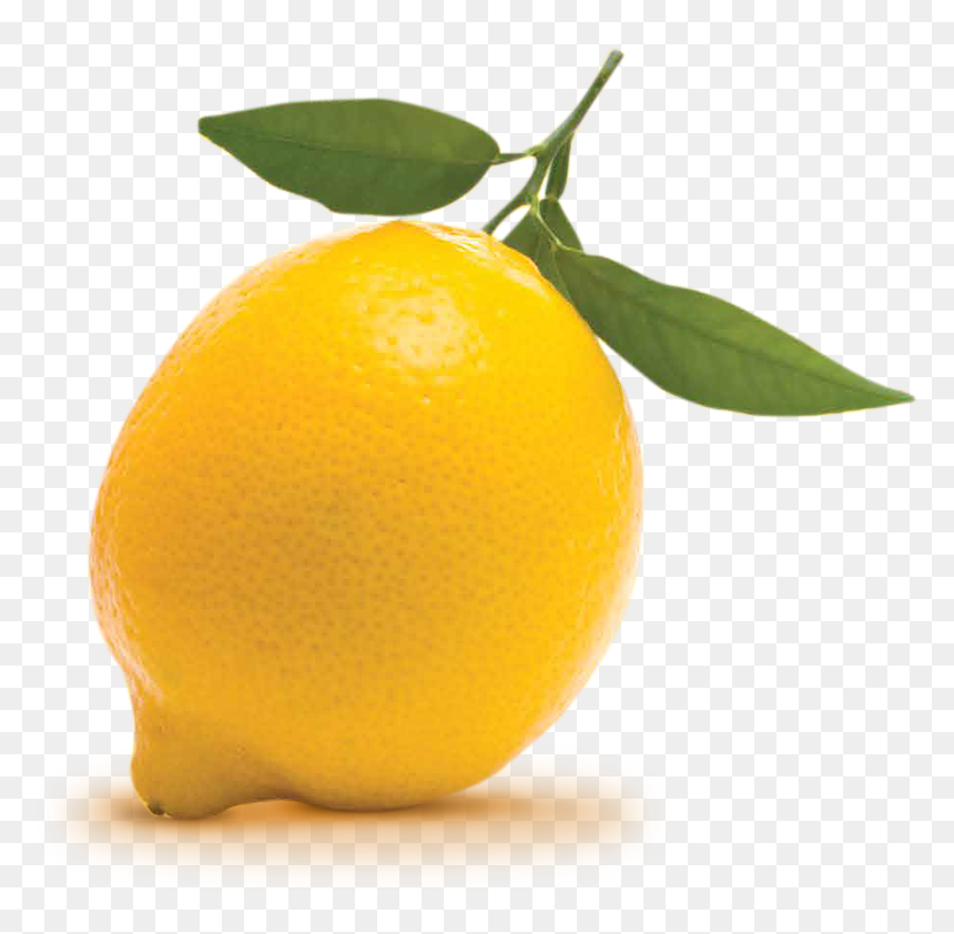 Lemon Png Download - Lemonlogo Transparent, Png Download - lemon png image