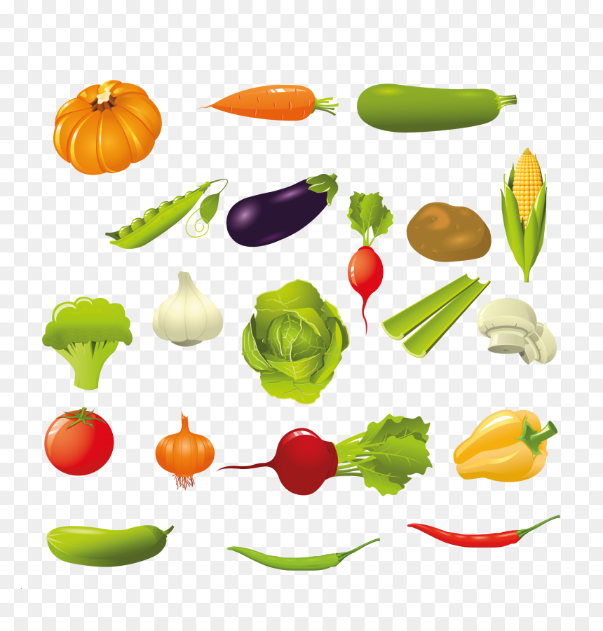 Vegetable Illustration Free, HD Png Download - potato clipart png