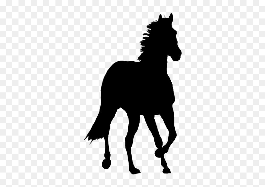 Baby Horses Png Transparent Images - Brown Horse Transparent Background, Png Download - horse png hd