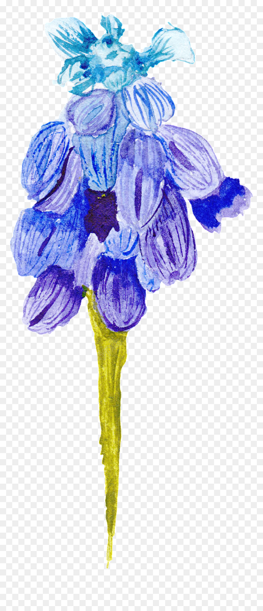 Wildflower Vector Blue Flower - Lily, HD Png Download - blue flower vector png