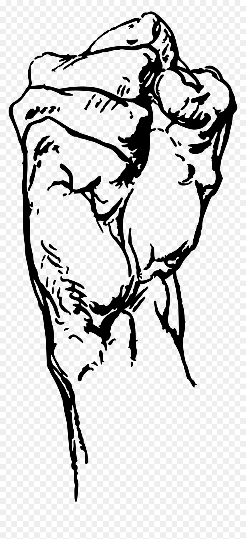 Clip Art Collection Of Free Drawing - George Bridgman Constructive Anatomy, HD Png Download - clenched fist png