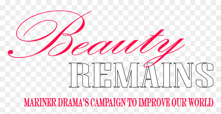 Calligraphy, HD Png Download - anne frank png