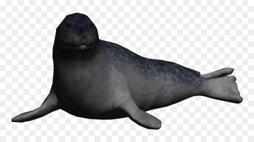 Transparent Sealion Clipart - Seal Animals Png, Png Download - california state seal png