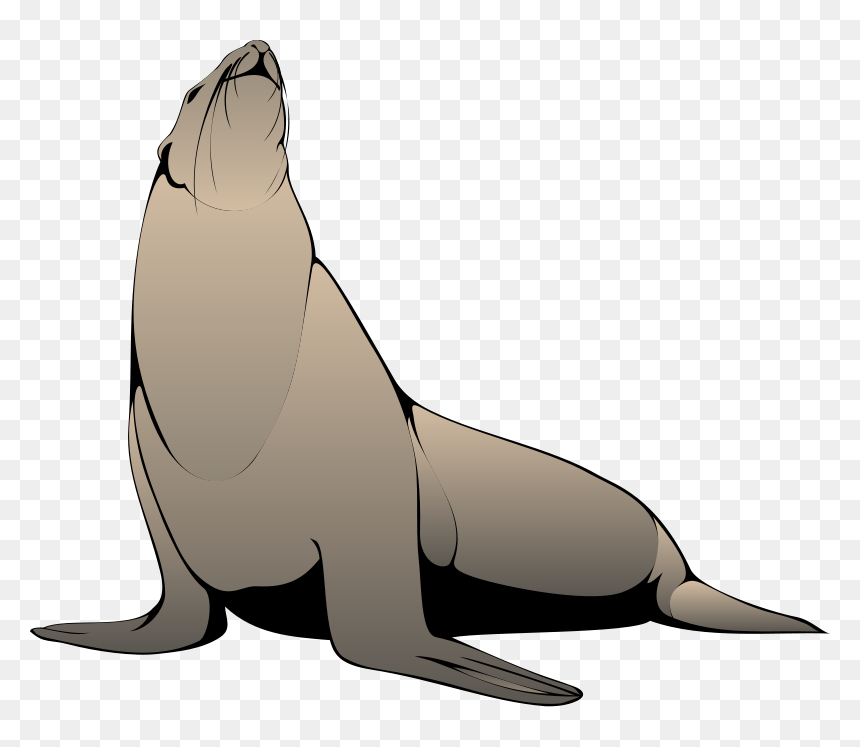 Free Pictures Download Clip Art On Seal Seal- - Sea Lion Clipart Png, Transparent Png - california state seal png
