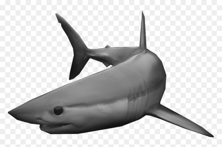 Killer Whale, HD Png Download - left shark png