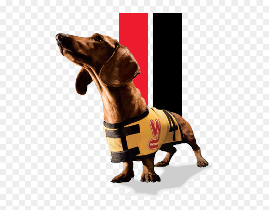 Wiener Schnitzel Dog, HD Png Download - weiner dog png