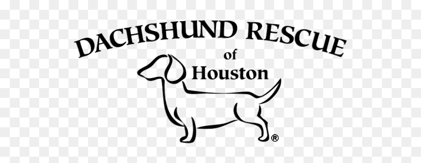 Dachshund Rescue Of Houston, HD Png Download - weiner dog png