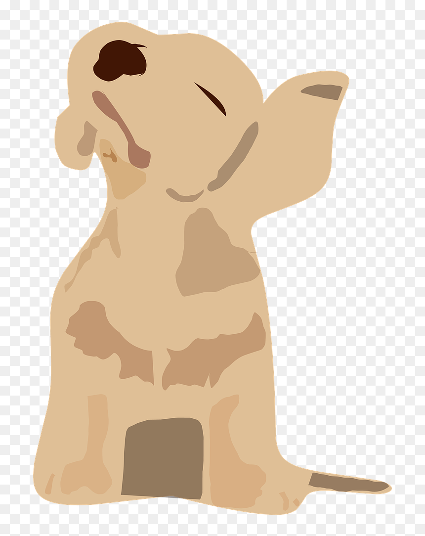 Pictures, Free Photos, Free Images, Royalty Free, Free - 강아지 무료 일러스트, HD Png Download - weiner dog png