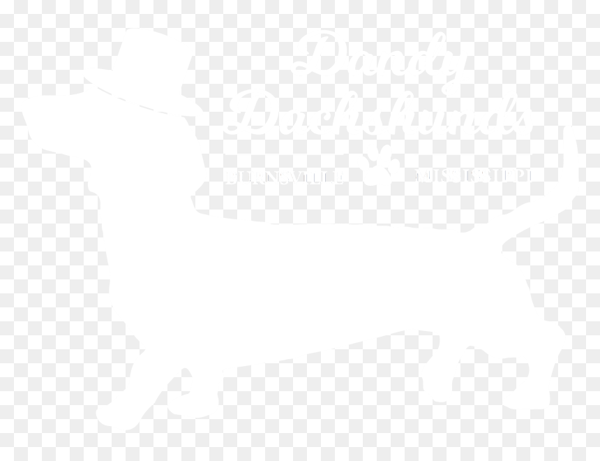 Dandy Dachshunds, HD Png Download - weiner dog png