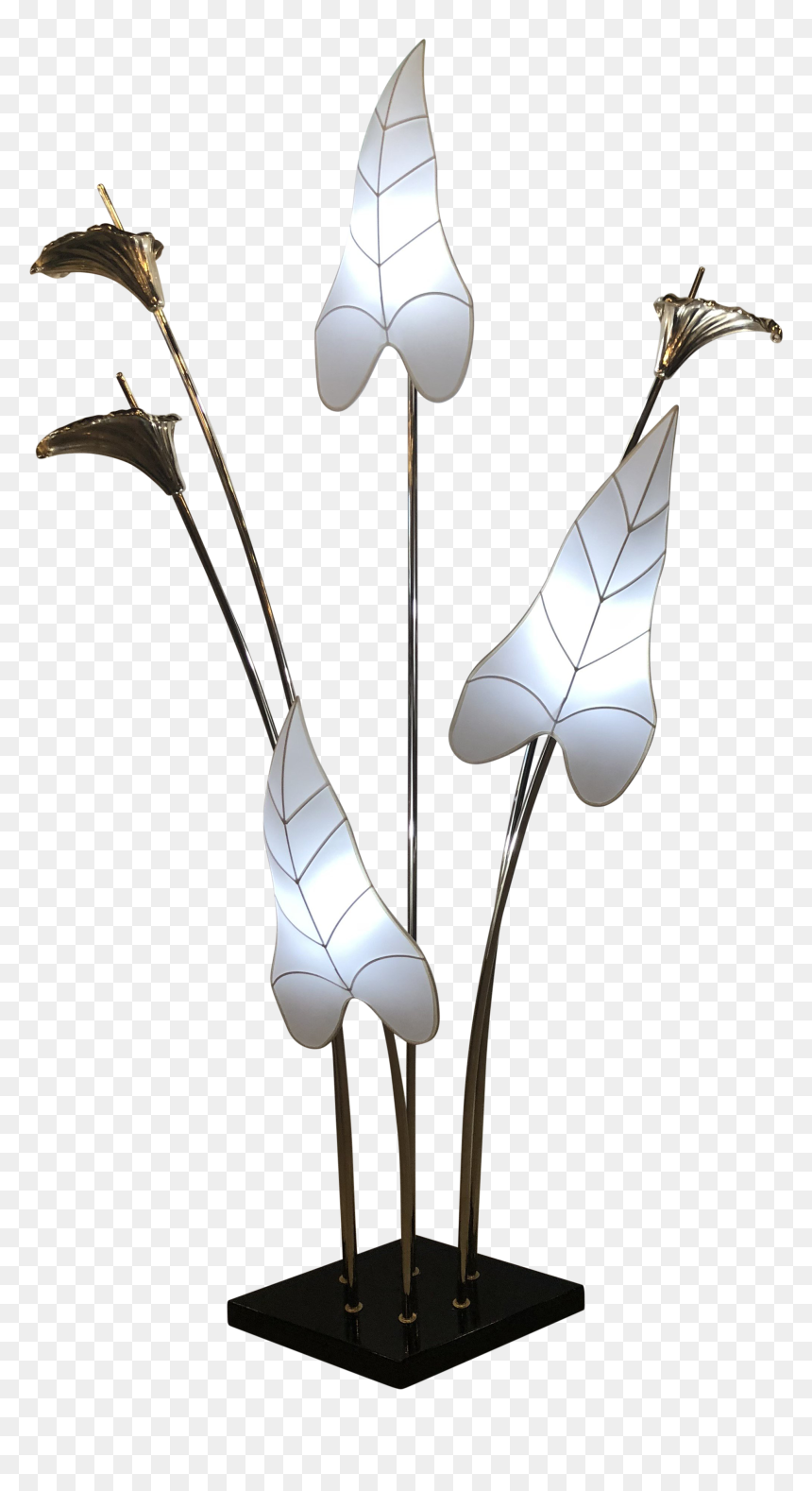 Superb Vintage Hollywood Regency Brass Calla Lily Italian - Illustration, HD Png Download - italian png