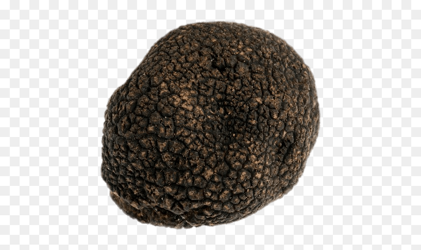 Black Truffle - Crochet, HD Png Download - black ball png